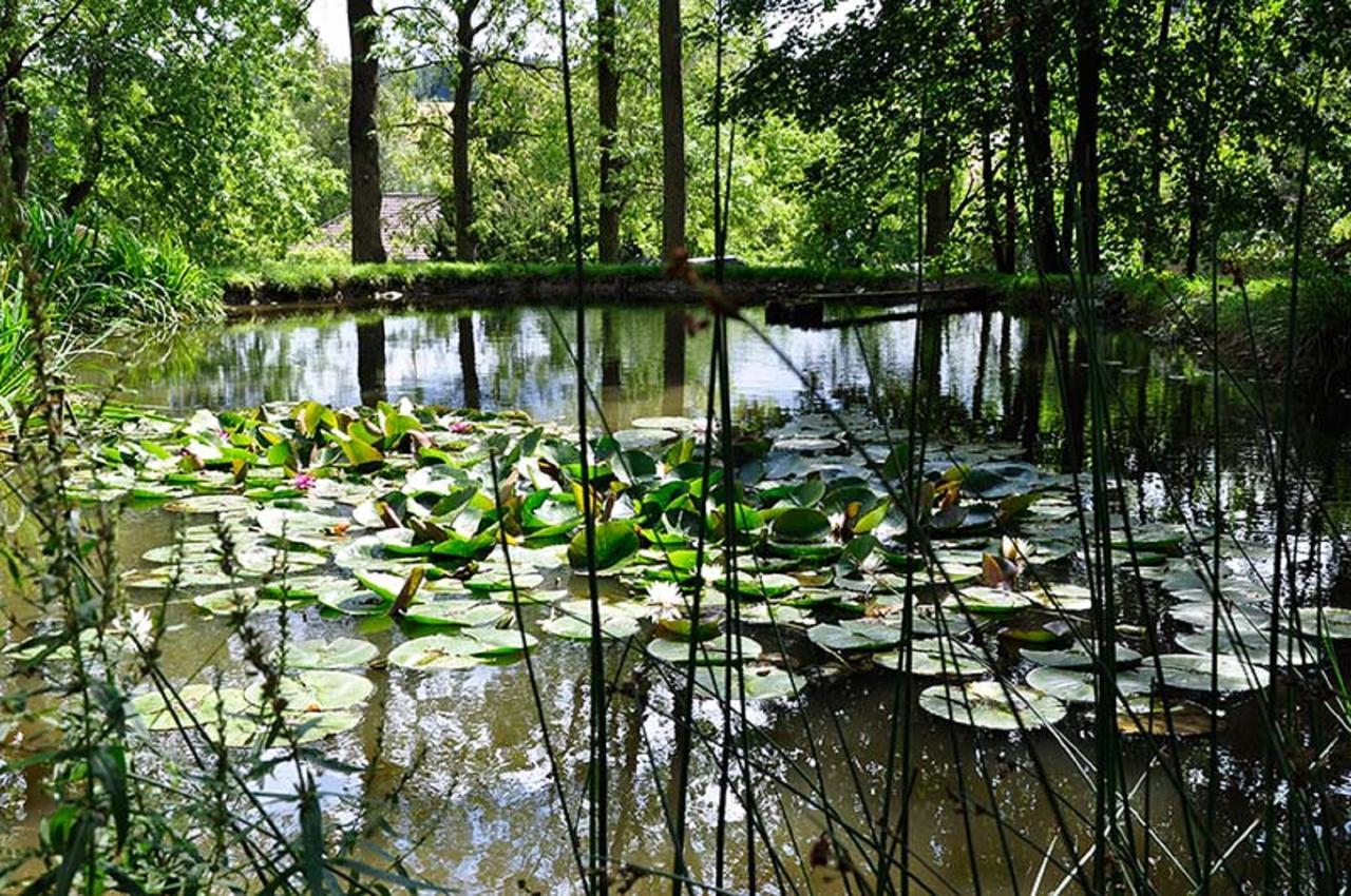 Landhausgarten Bunzmann Berg  Екстер'єр фото